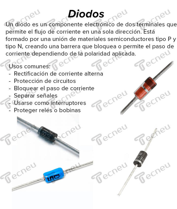 100 Diodos Electrónicos De Protección FR107 - 1N5822 Con Caja Organizadora - Tecneu