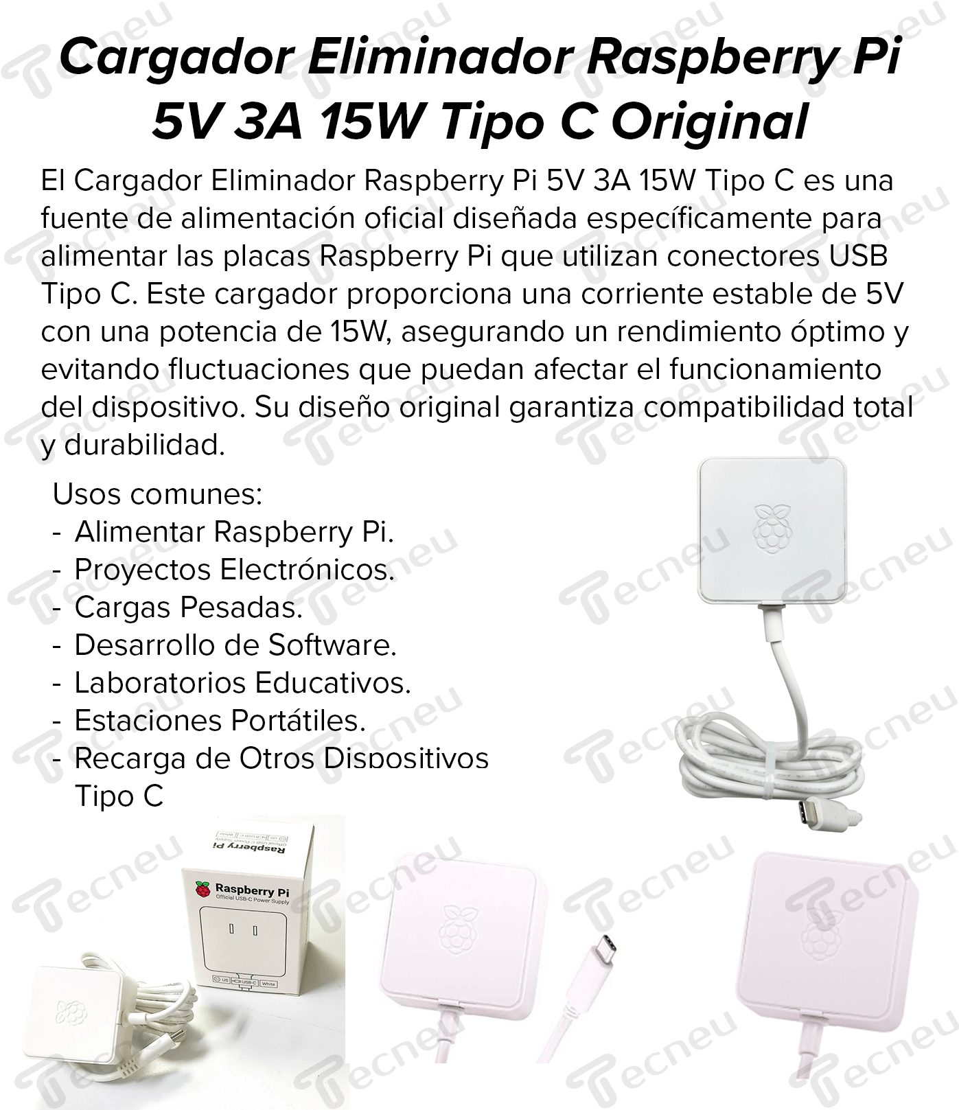 Cargador Eliminador Raspberry Pi 5V 3A 15W Tipo C Original - Tecneu