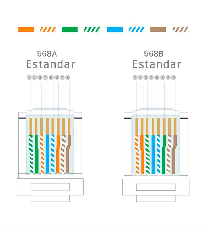 Conector RJ45 CAT6 Chapado en Oro para UTP Ethernet - Tecneu