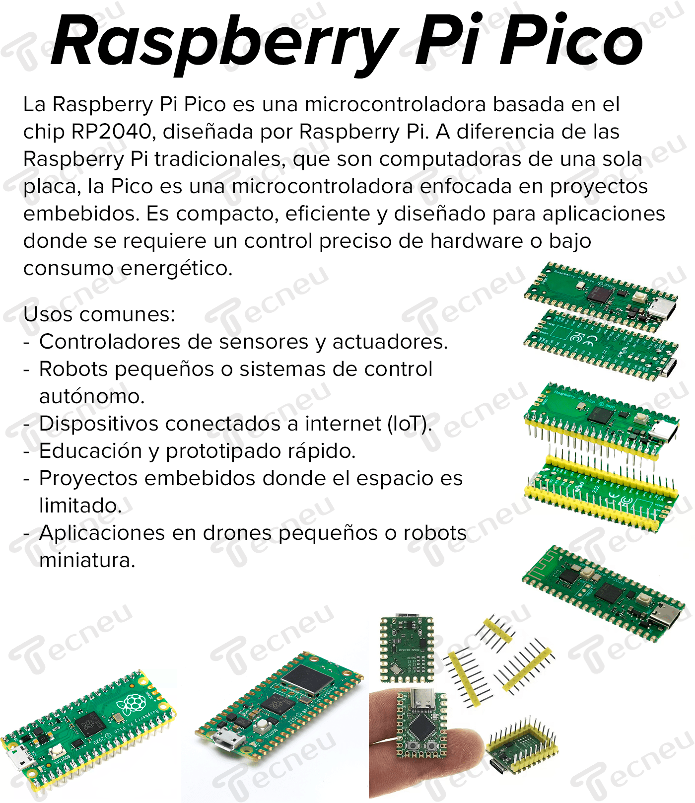 Raspberry Pi Pico Rp2040 Dual Core Arm Cortex M0 Tipo C - Tecneu